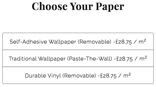 Paper type options at WallpaperMural.com