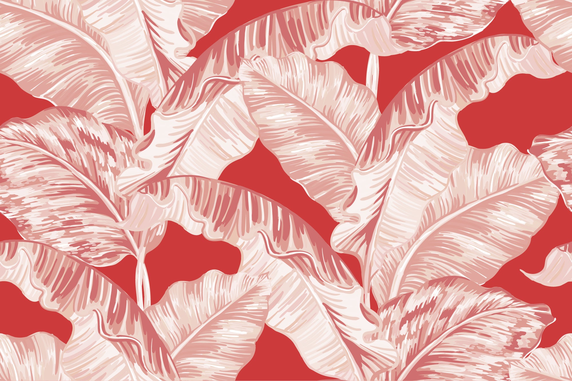 Banana Leaf Merah - Pink & Red Banana Leaf Wallpaper Mural