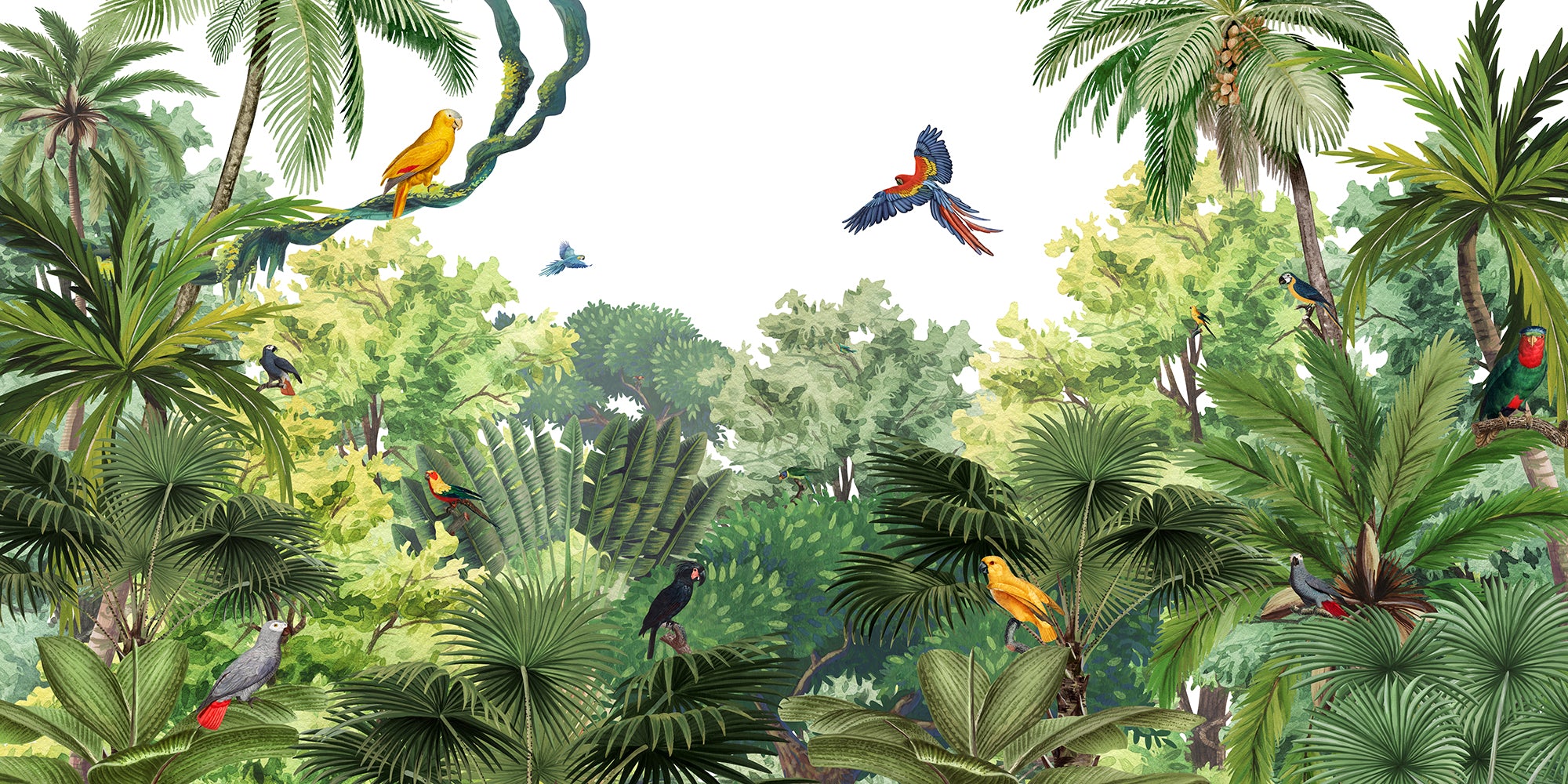 tropical rainforest animals wallpaper