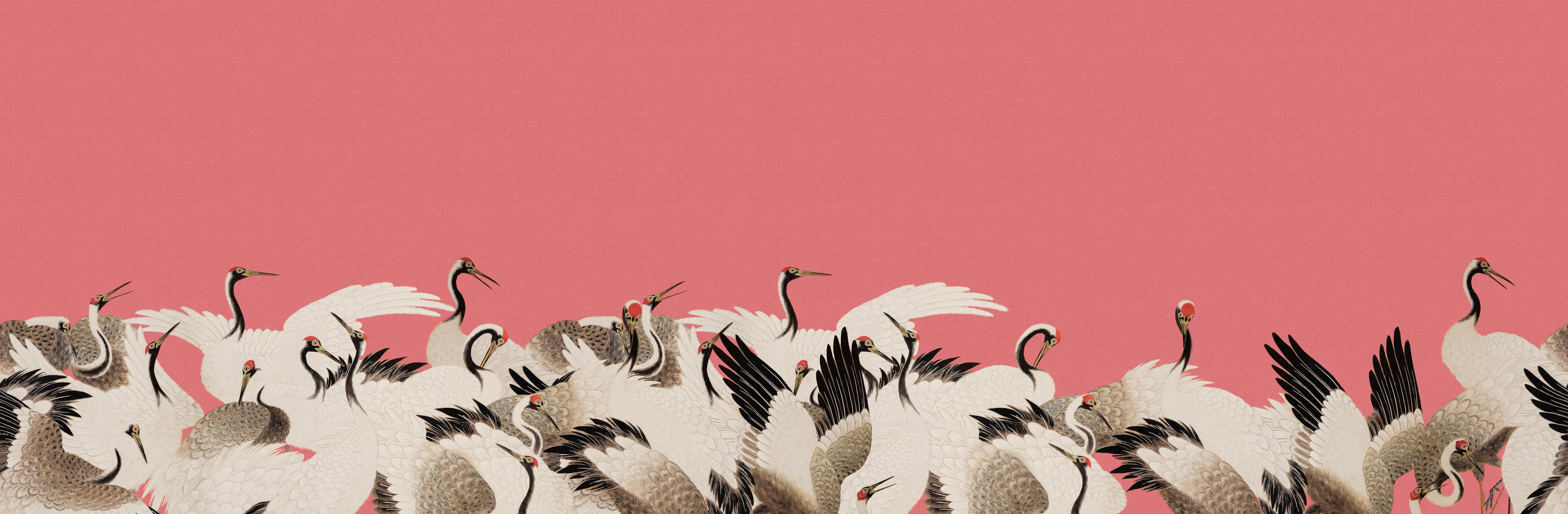 A decorative illustration of a large flock of white cranes with black wingtips and pink beaks, set against a solid dusty pink background with open space at the top.