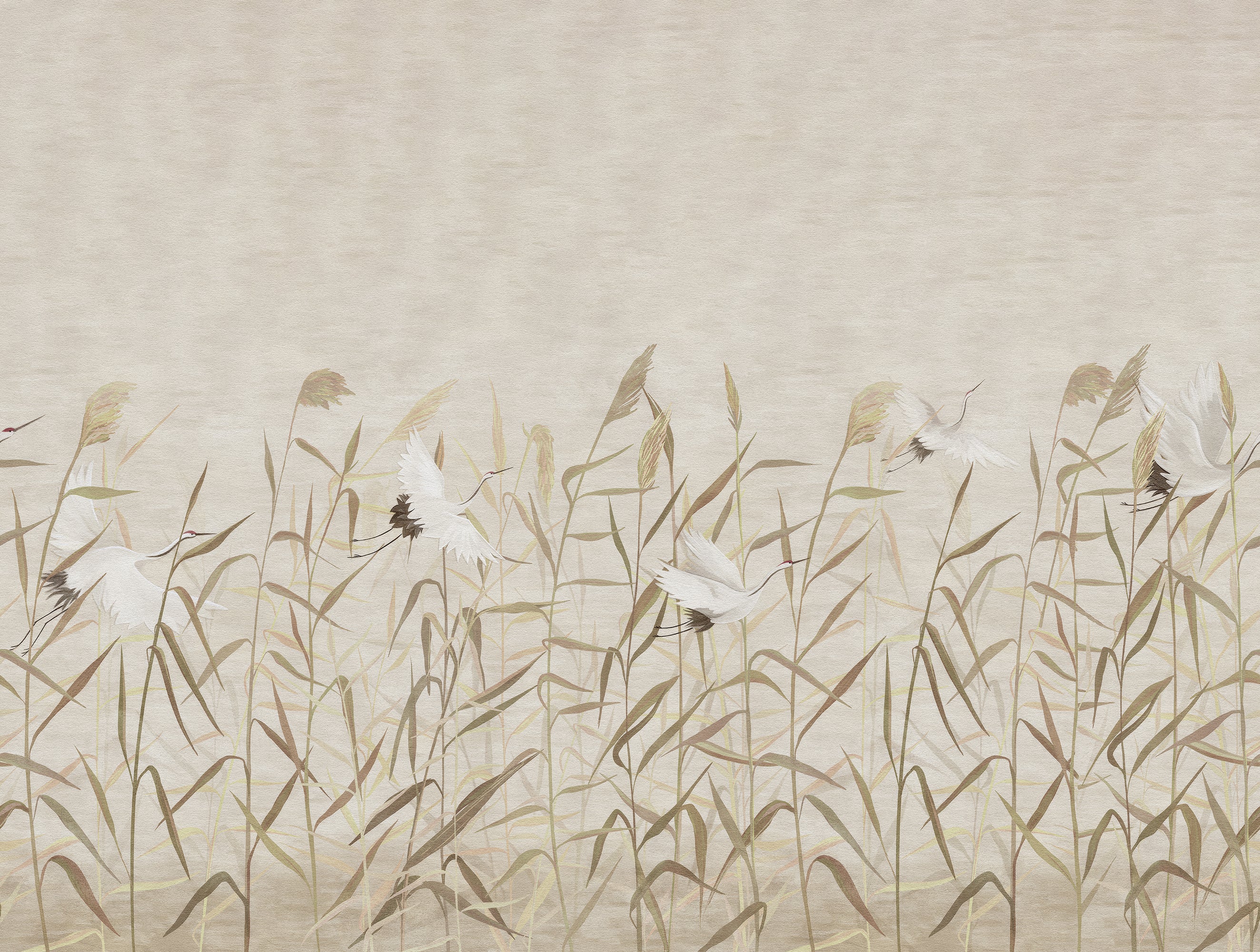 A soft, minimalist artwork showing white cranes among tall beige and brown reeds on a light warm neutral background.