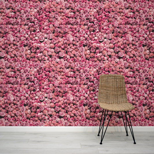 Juliet Hot Pink Rose Flower Wall wallpaper with Rattan Chair