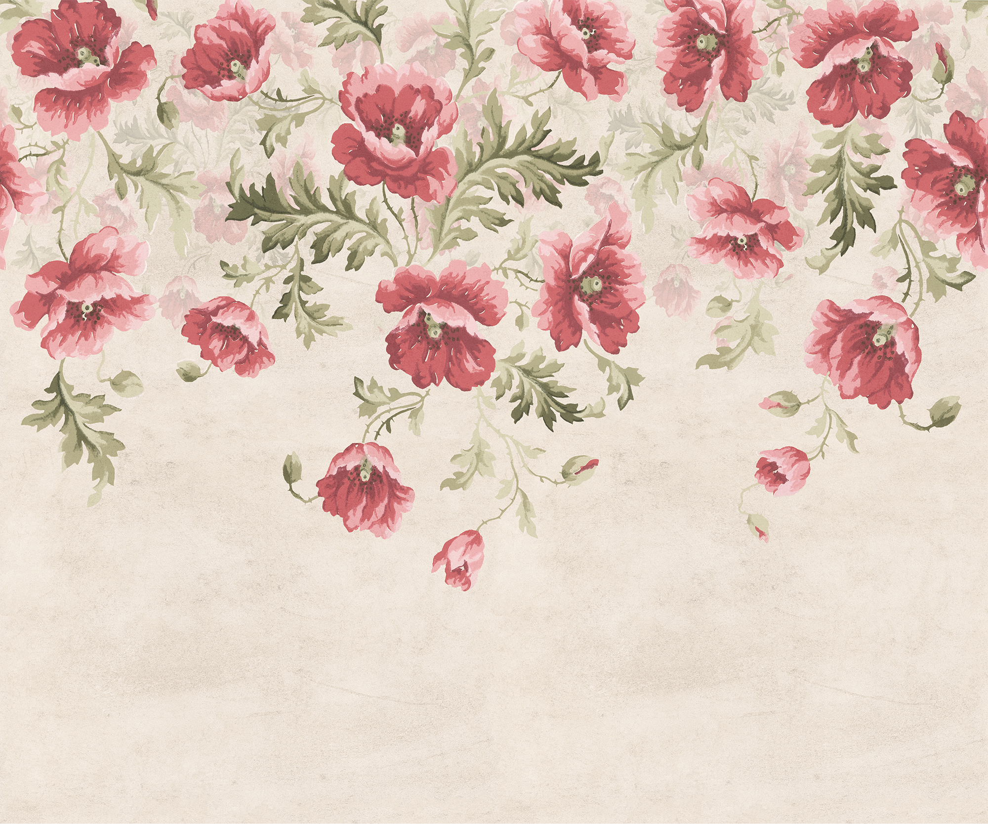 Poppy - Painted Trailing Poppy Wallpaper Mural