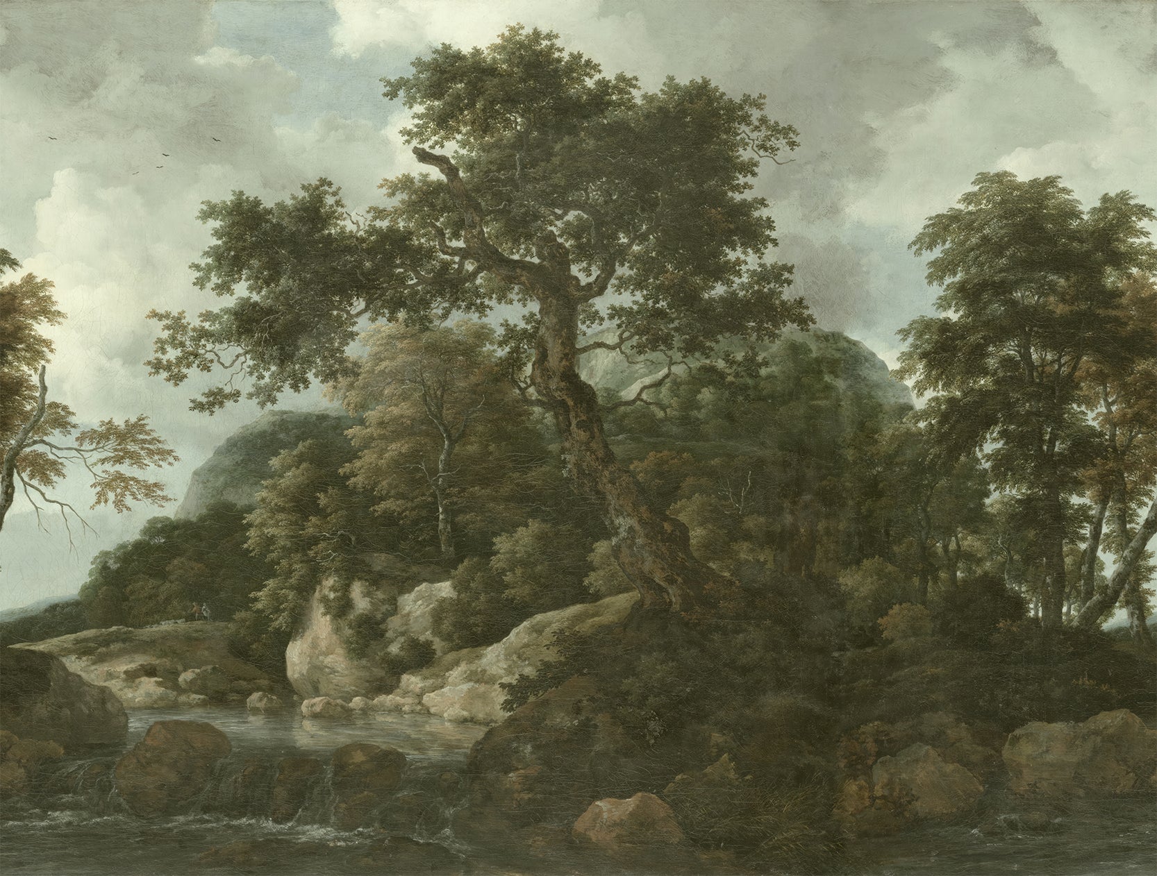 Sylvia Wallpaper Landscape with trees, rocks, and a body of water under a cloudy sky.