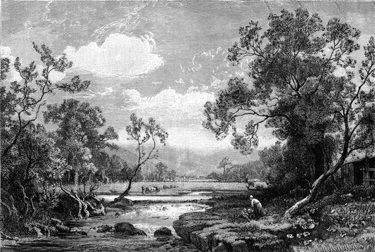 Tanetrict - Black and White Etched Countryside River Bank Mural