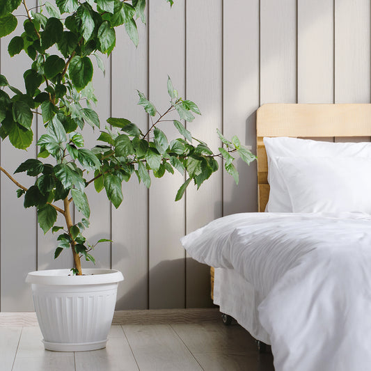 Timber Elegance Beige In Bedroom With Green Plant In Large White Plant Pot