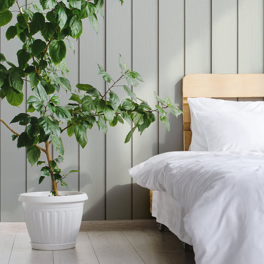 Timber Elegance Light Green In Bedroom With Green Plant In Large White Plant Pot