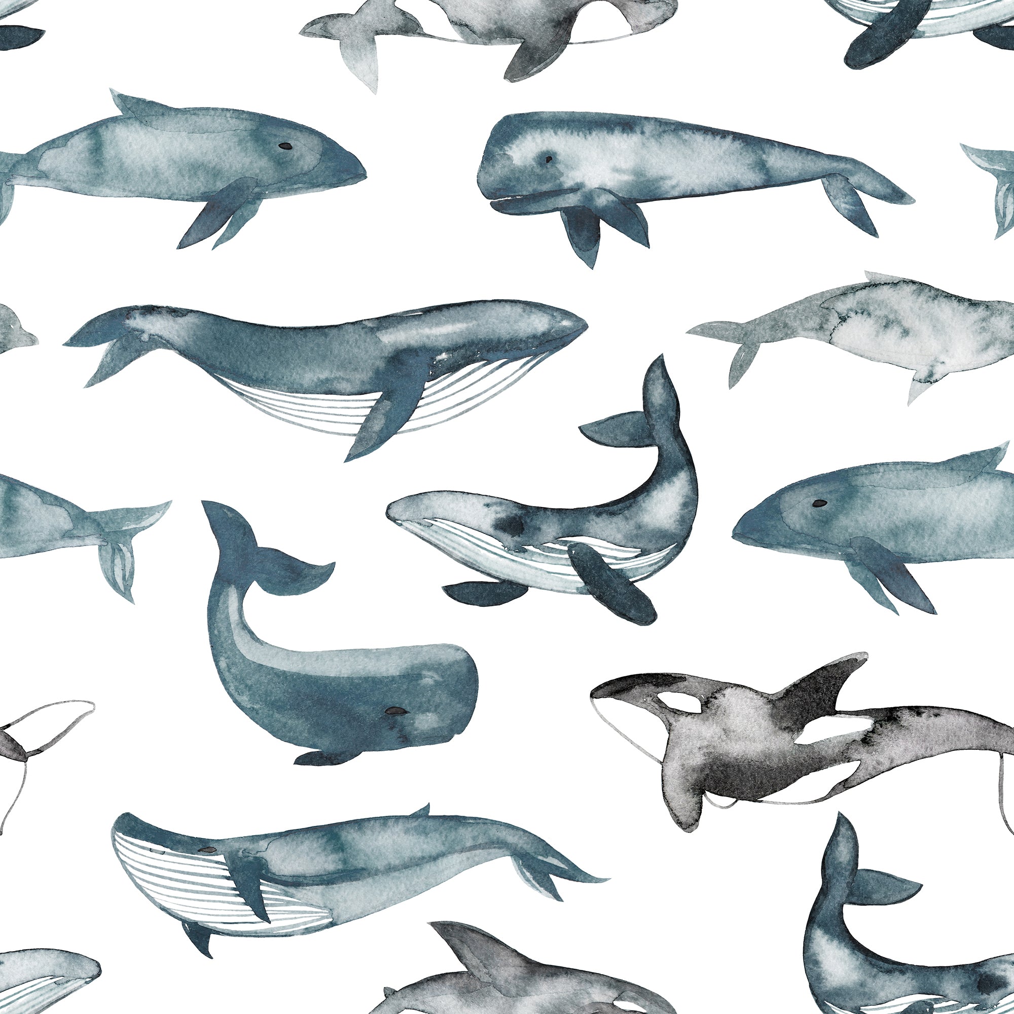 Whale_Waltz_Wallpaper_Mural_Artwork