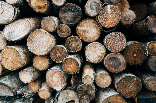 Huge pile of frosty cut logs