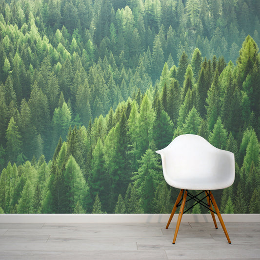 Green Forest Woodland Photo Wall Mural by WallpaperMural.com