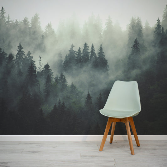 Colarded – Stimmungsvoller Wald Waldnebel Fototapete