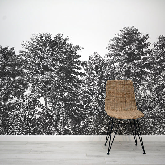 Deciduous Black - Mono Panoramic Etched Trees Scene Wallpaper Mural with Rattan Chair