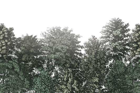Deciduous Summer - Green Panoramic Etched Trees Scene Wallpaper Mural Full Artwork