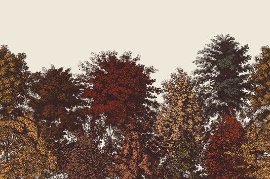 Deciduous Autumn - Warm Panoramic Etched Trees Scene Wallpaper Mural Full Artwork