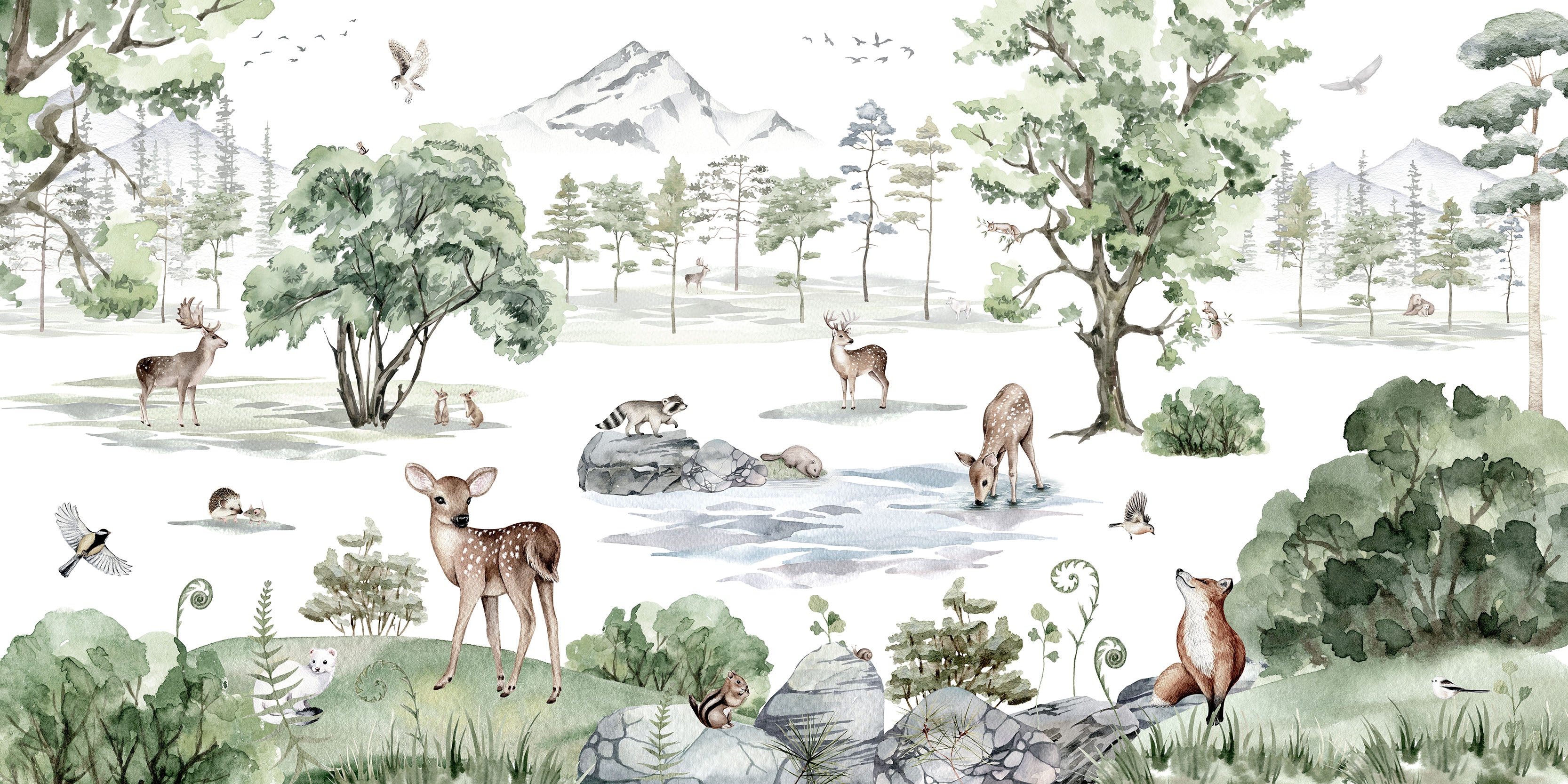 Deer Forest - Woodland Animals and Trees Wallpaper Mural