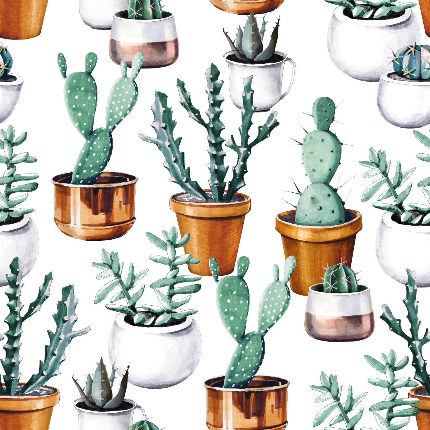 Eropt wallpaper mural consisting of various cactus | WallpaperMural.com