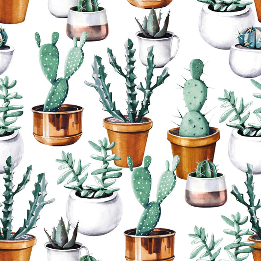 Eropt wallpaper mural consisting of various cactus | WallpaperMural.com