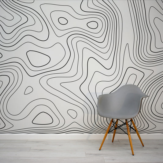 Inglans - Black & White Swirls Wallpaper Mural