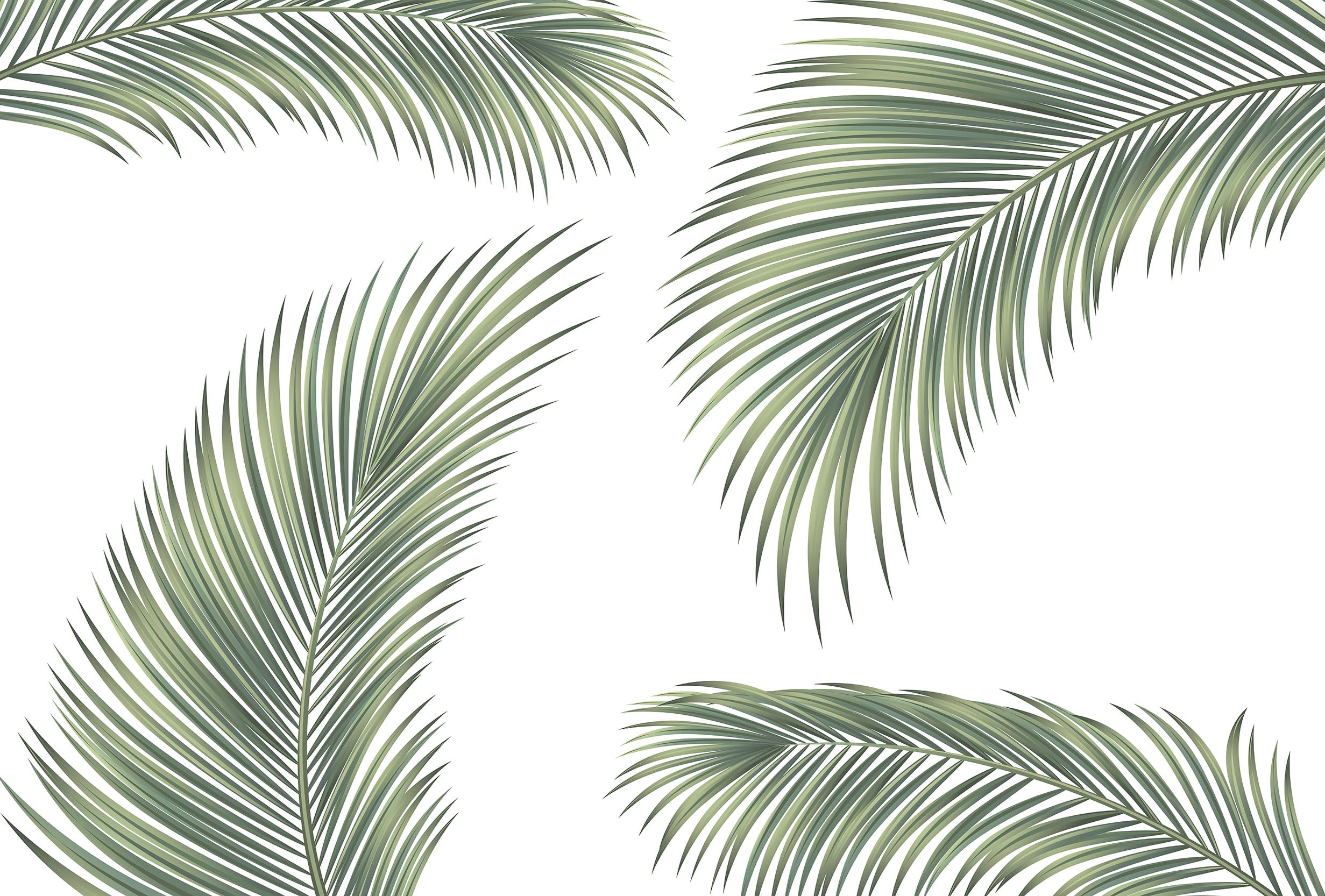 Kona - Tropical Palm Wallpaper Mural