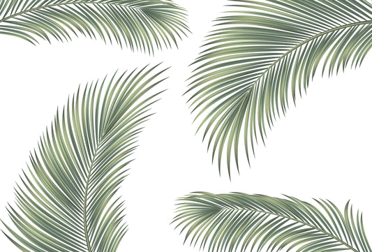 Kona - Tropische Palme Fototapete