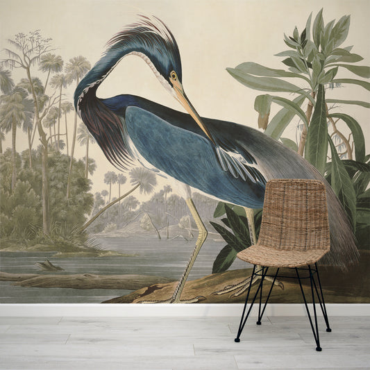 Louisiana Heron Bird Wallpaper Mural with Rattan Chair