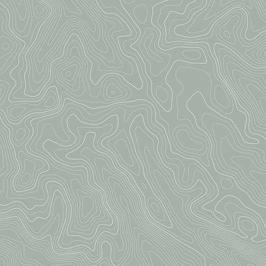 Excond – Salbeigrün & Weiß Contour Line Art Wandbild