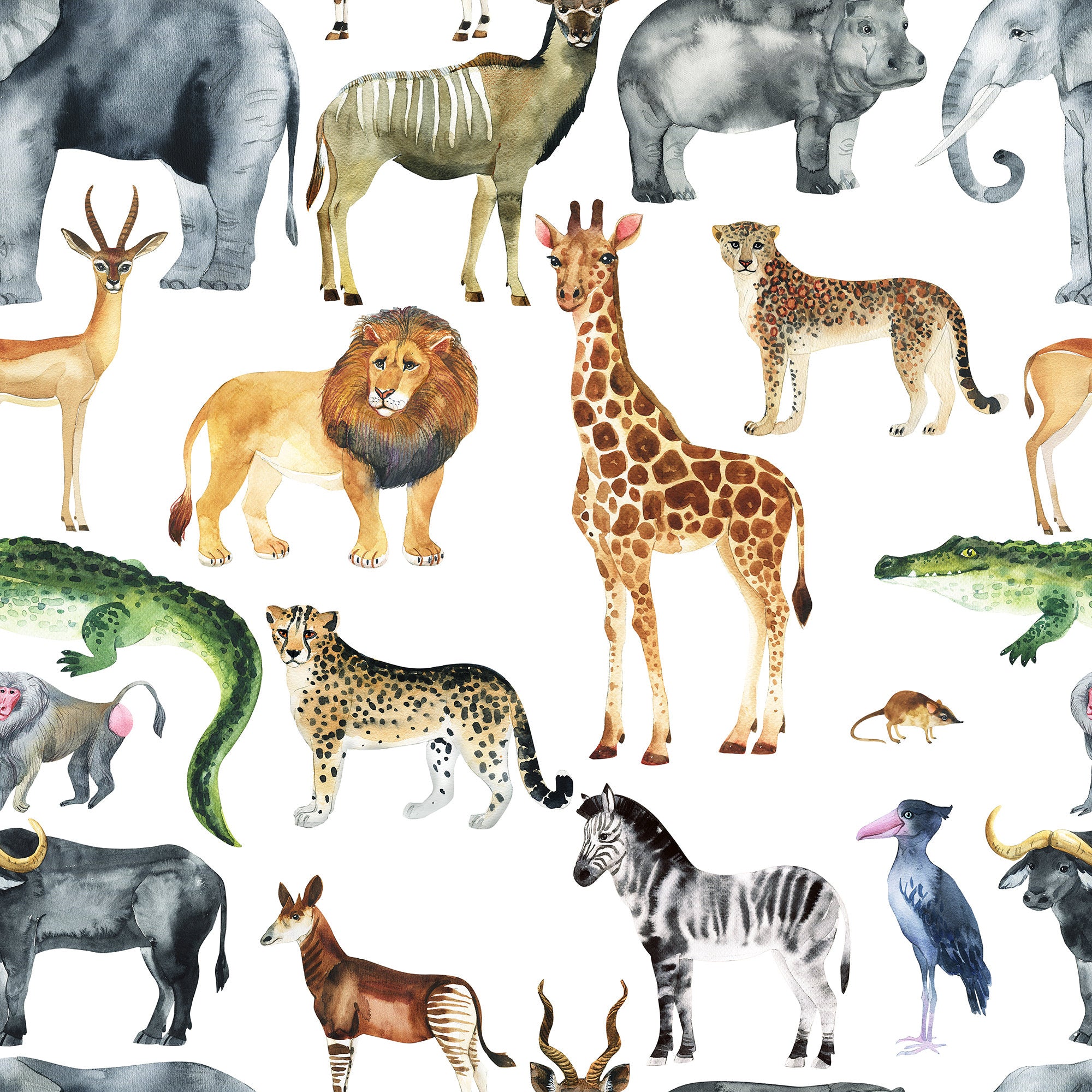 Mini Safari wallpaper mural | WallpaperMural.com