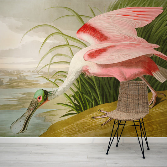 Spoonbill-Pink-Birds-of-America Wallpaper Mural Scene 